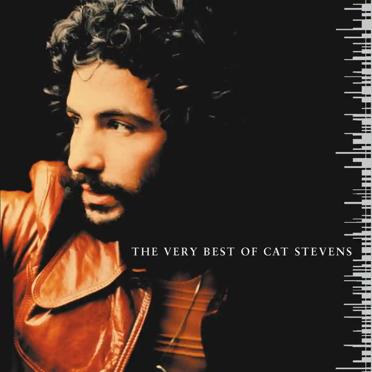Wild World (Cat Stevens) - Tutoriel Guitare