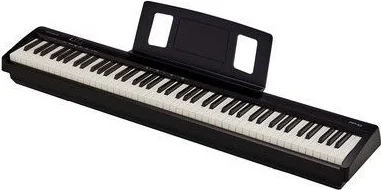 Roland FP-10 — guitare folk Roland recommandée par Fred Fieffé