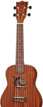 Flight NUC310 Concert — guitare folk Flight recommandée par Fred Fieffé